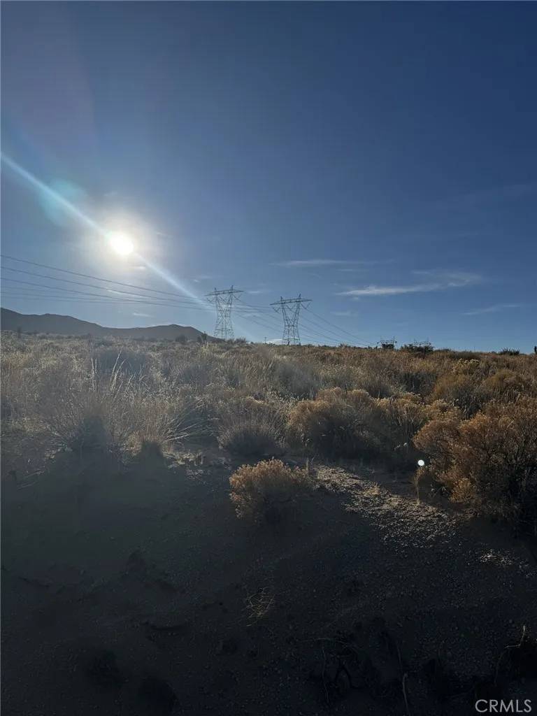 Apple Valley, CA 92308,0 Candida