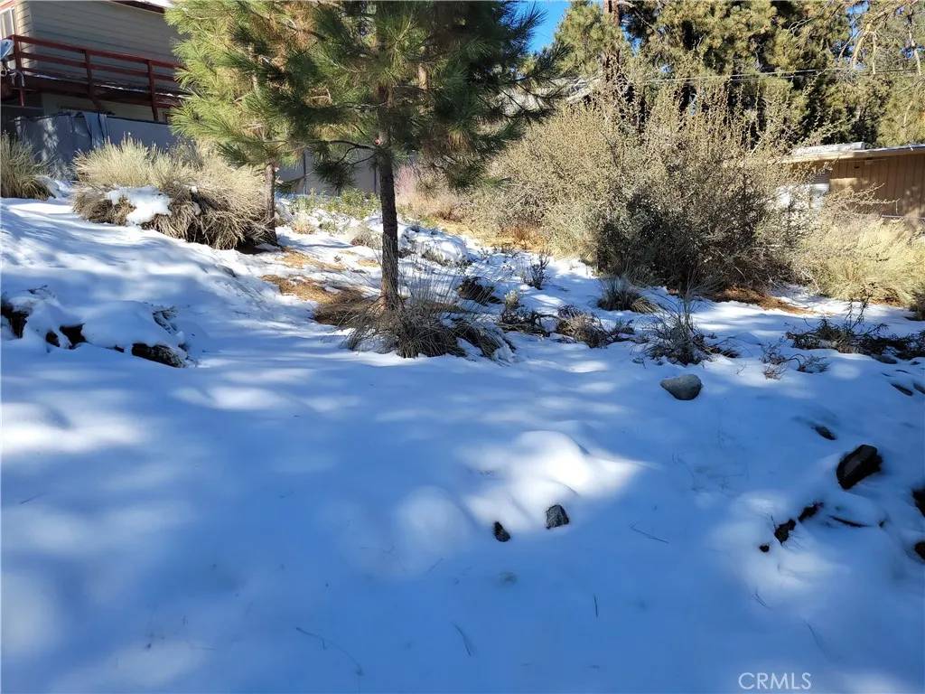 Wrightwood, CA 92397,0 Blackbird