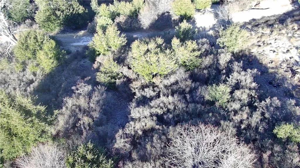 Cedar Glen, CA 92321,0 Hickory
