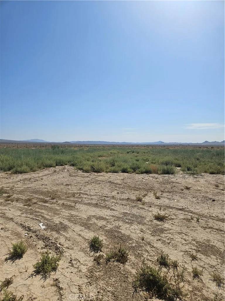 Lucerne Valley, CA 92356,0 Locust