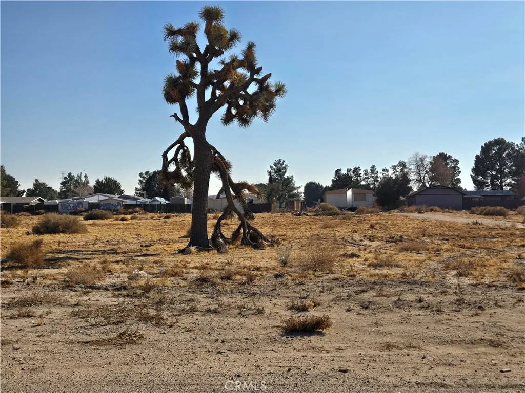 Adelanto, CA 92301,0 El Mirage 0459-521-75