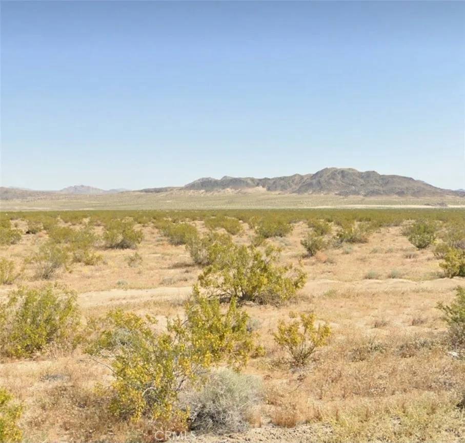 Johnson Valley, CA 92285,800 Firethorn