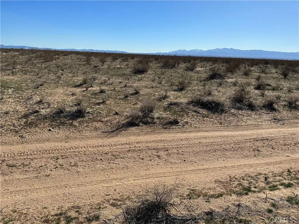 Victorville, CA 92394,11 Desert Flower