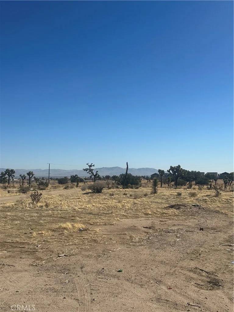 Hesperia, CA 92345,0 Datura