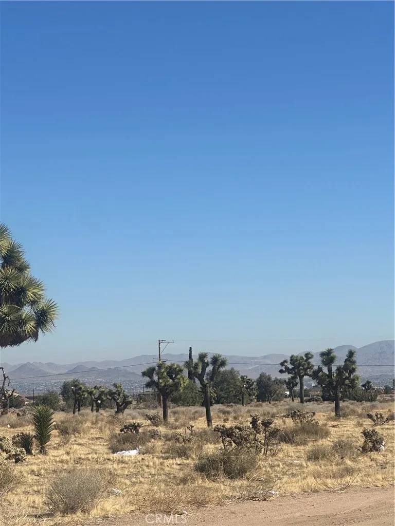 Hesperia, CA 92345,0 Datura