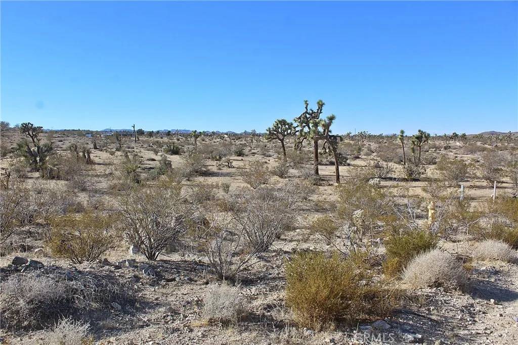 Yucca Valley, CA 92284,11 Alta