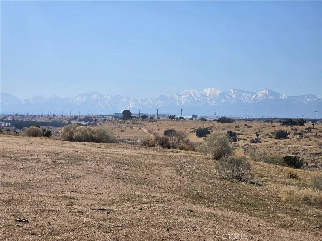 Oak Hills, CA 92344,90169 Palm