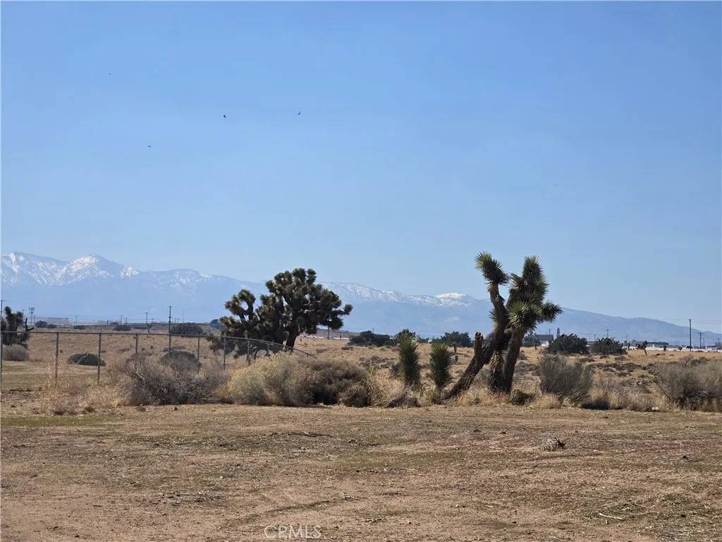 Oak Hills, CA 92344,90169 Palm