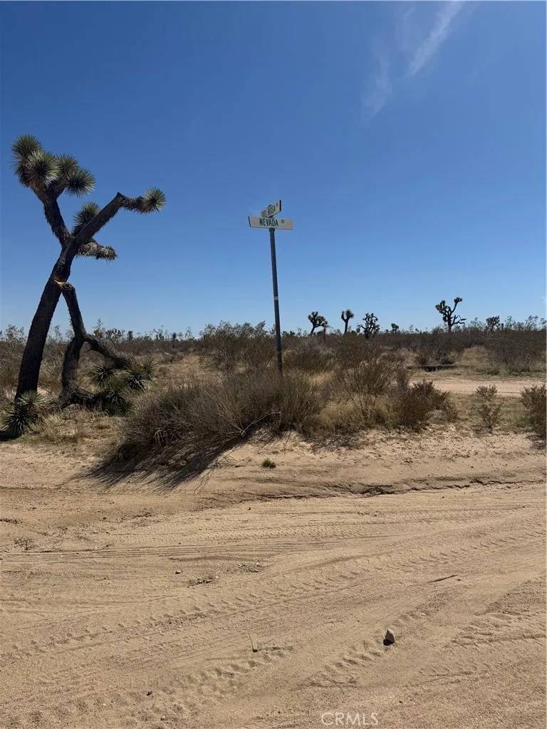 Phelan, CA 92371,0 Del Rosa