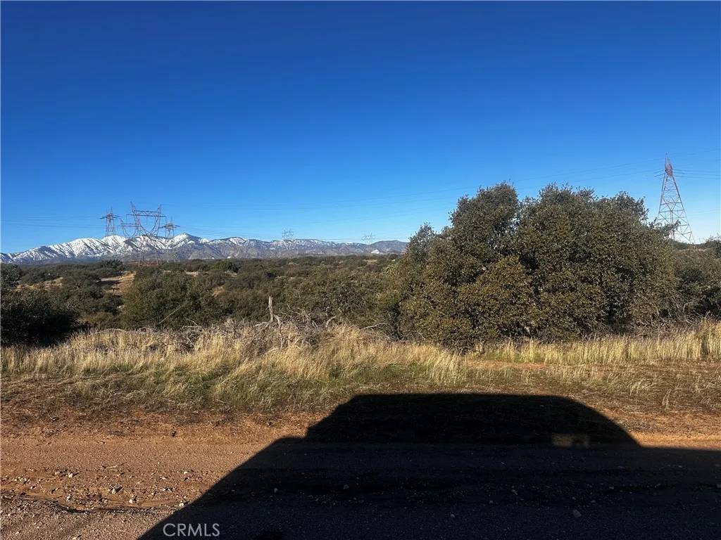Oak Hills, CA 92344,0 Alta Mesa