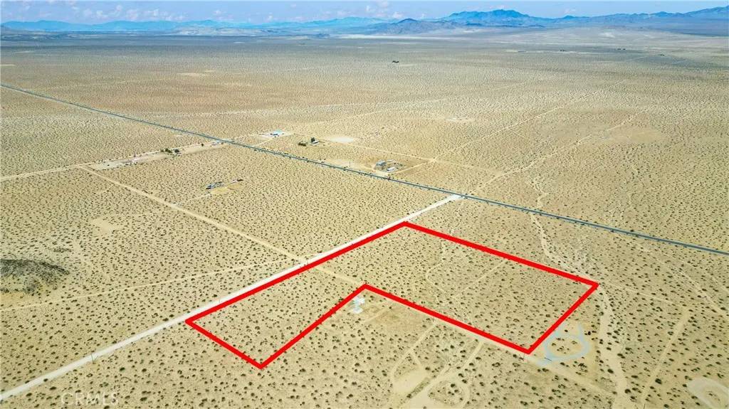 Johnson Valley, CA 92285,0 Datura
