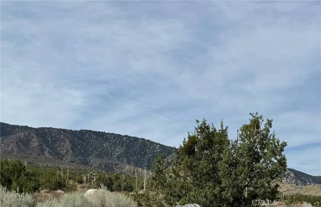 Llano, CA 93544,0 E Avenue Z