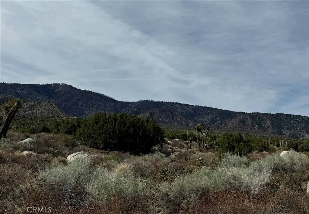 Llano, CA 93544,0 E Avenue Z