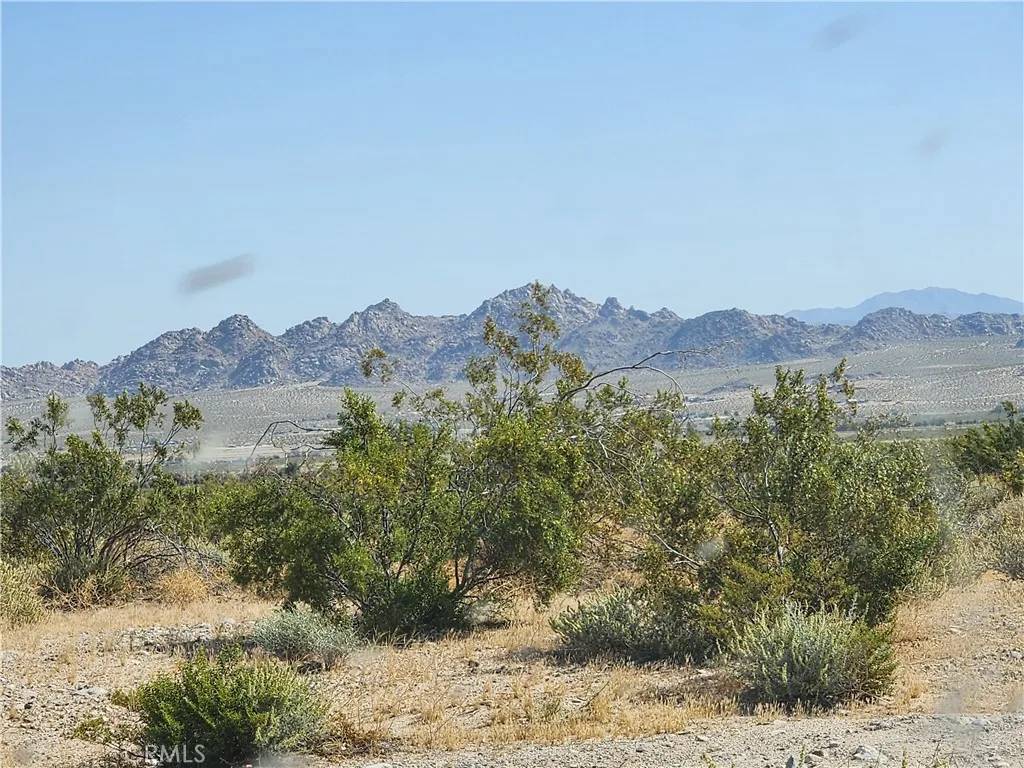 Lucerne Valley, CA 92356,500 Dallas