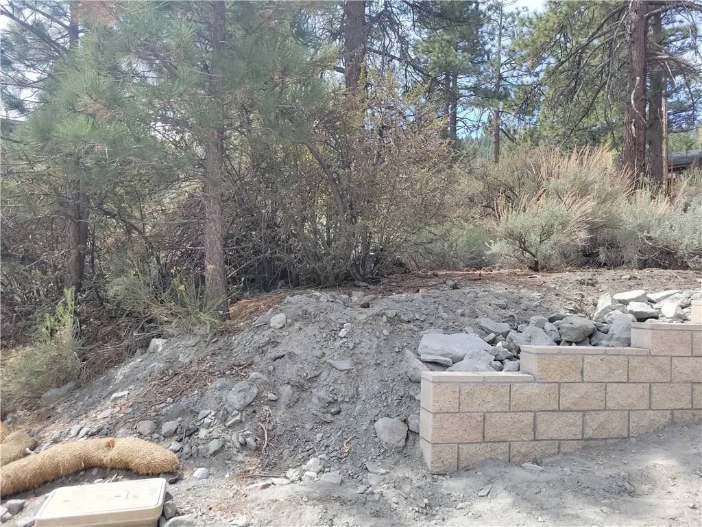 Wrightwood, CA 92397,0 Zurich