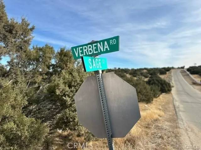 Oak Hills, CA 92344,0 Verbena