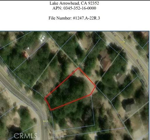 Lake Arrowhead, CA 92352,1187 Brentwood