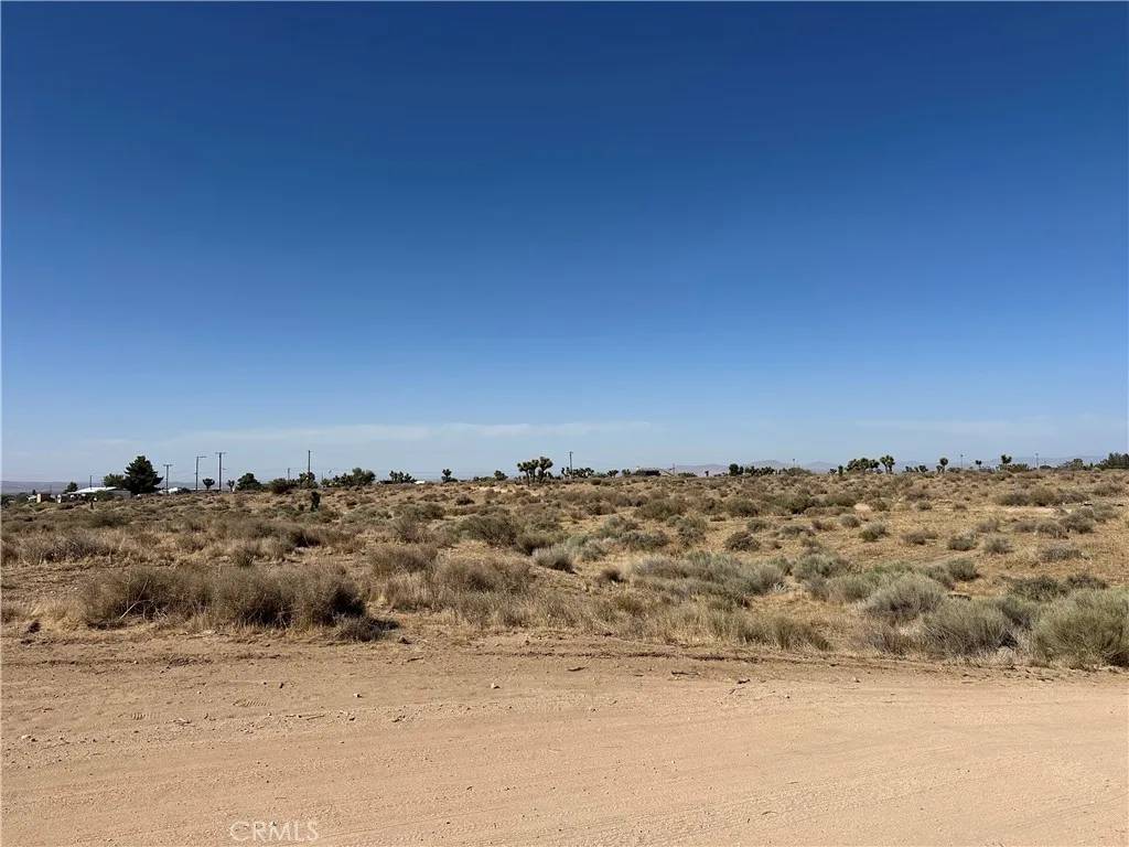 Phelan, CA 92371,0 Daisy