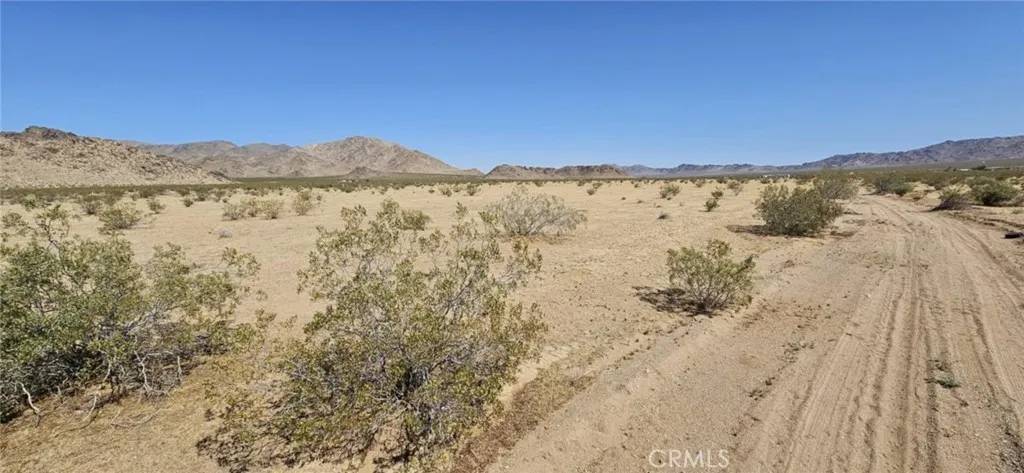 Lucerne Valley, CA 92356,800 Algoman