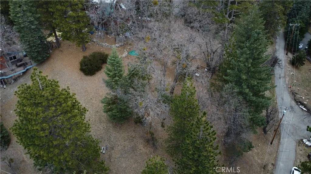 Running Springs, CA 92382,701 Preston