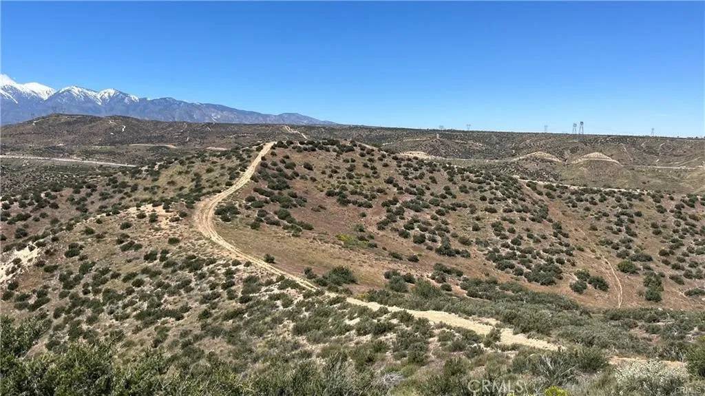 Hesperia, CA 92345,0 Catfish