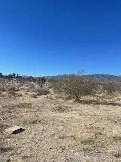 Pinon Hills, CA 92372,0 Pine Tree