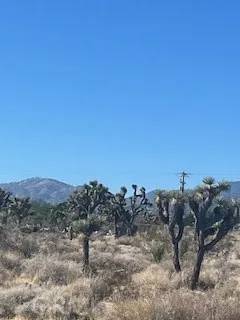 Pinon Hills, CA 92372,0 Pine Tree