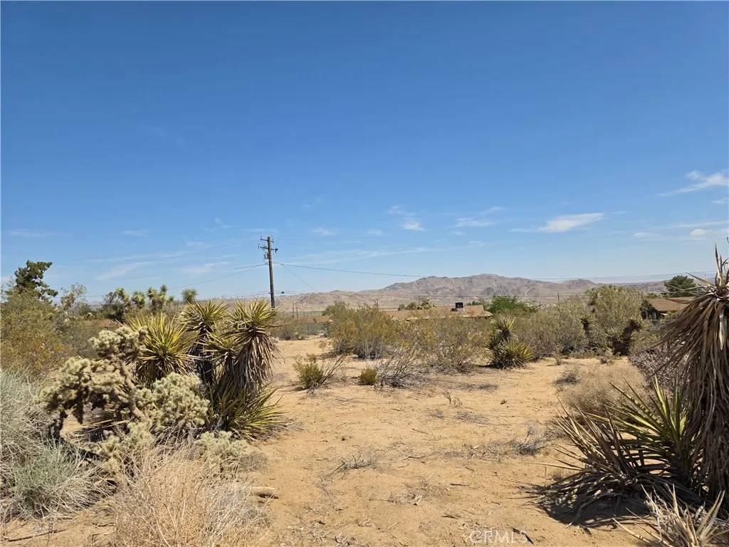 Joshua Tree, CA 92252,0 La Mirada