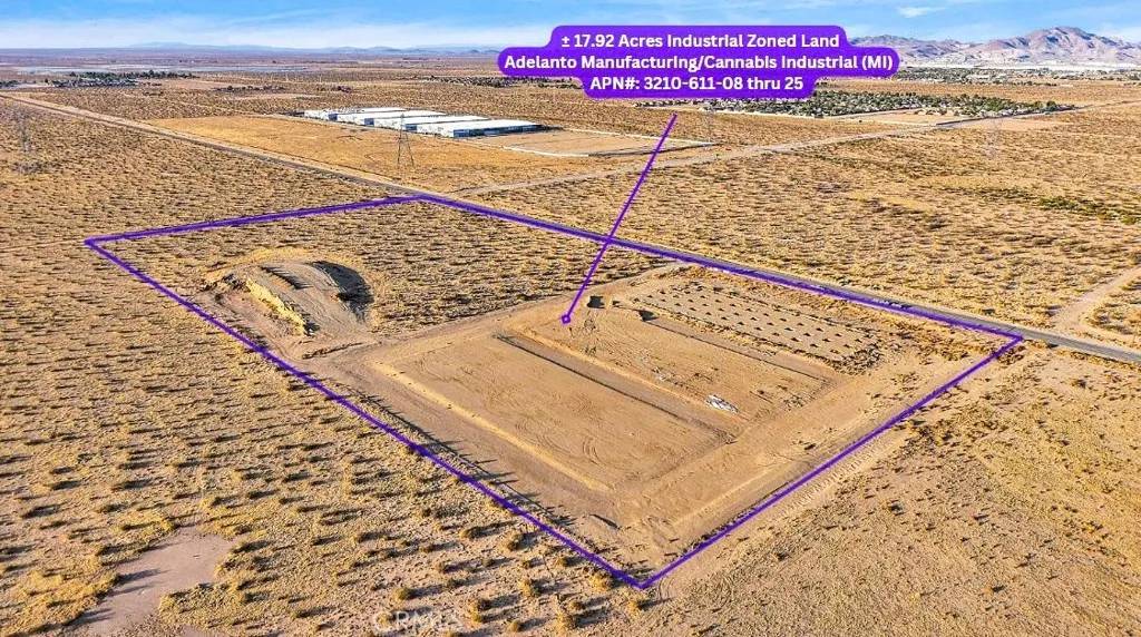 Adelanto, CA 92301,8 Koala