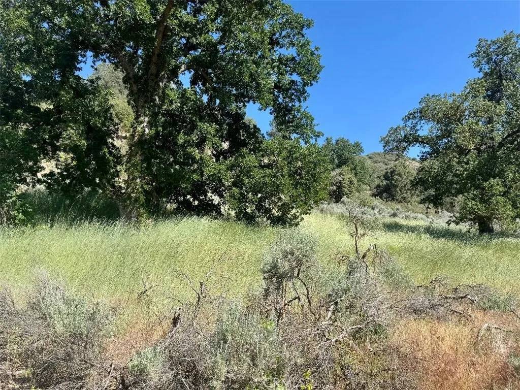 Bear Valley Springs, CA 93561,0 Butterfield