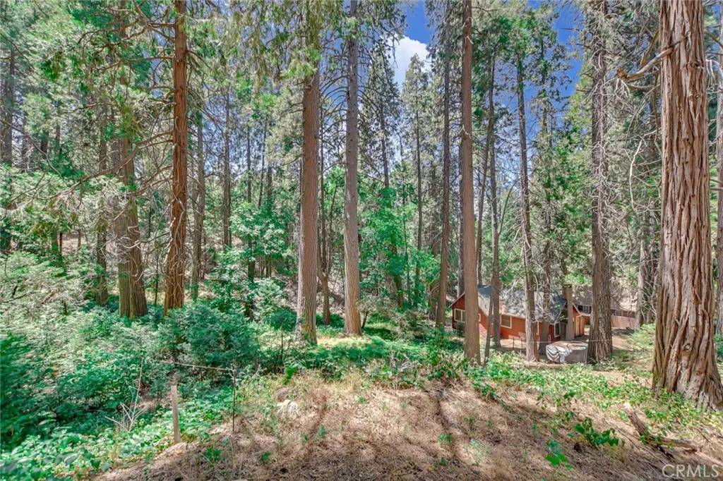 Crestline, CA 92325,590 Electra