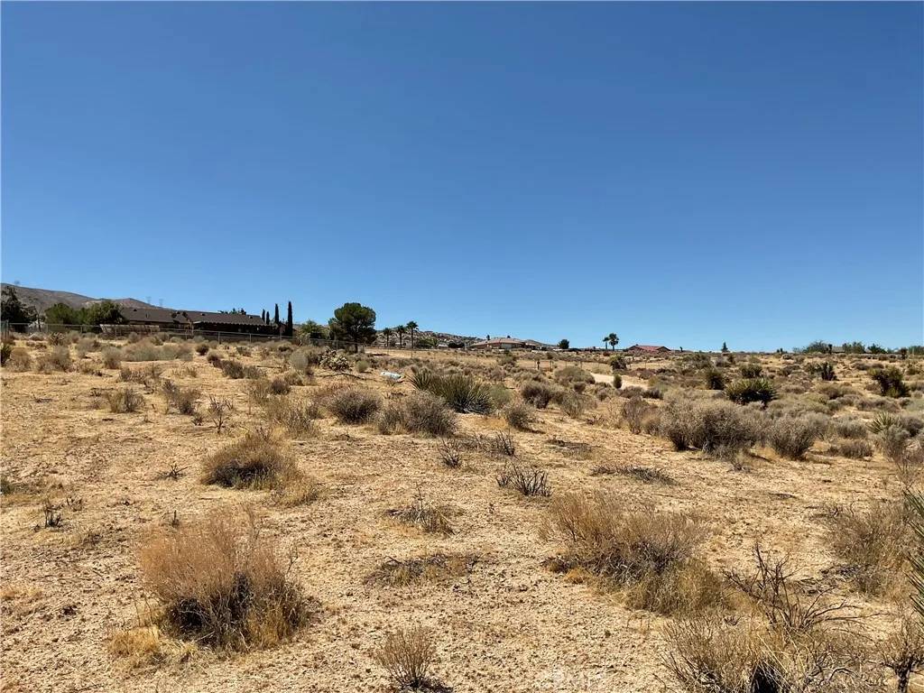 Apple Valley, CA 92308,7 Ocotillo