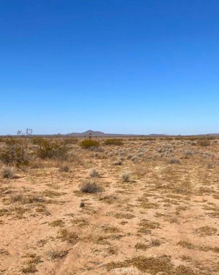 Helendale, CA 92342,0 Shelby