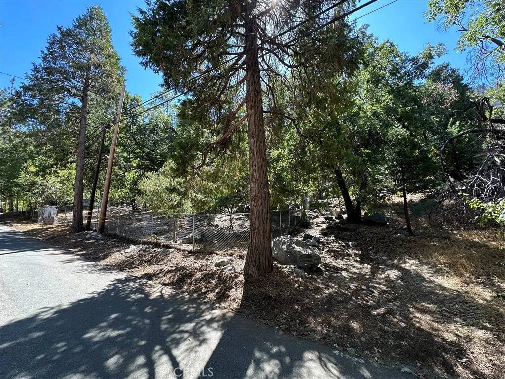Forest Falls, CA 92339,39329 Prospect