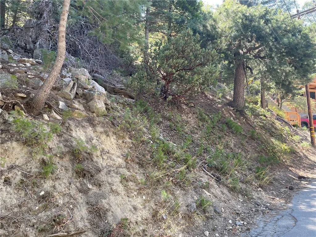 Twin Peaks, CA 92391,28 Lot 28 Forest