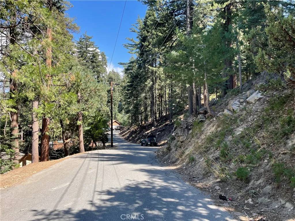 Twin Peaks, CA 92391,28 Lot 28 Forest