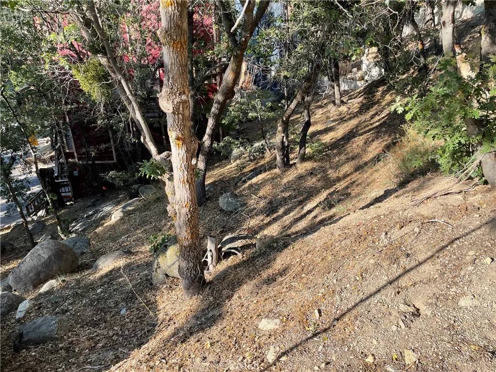 Arrowbear, CA 92382,24 Lot 24 Conway