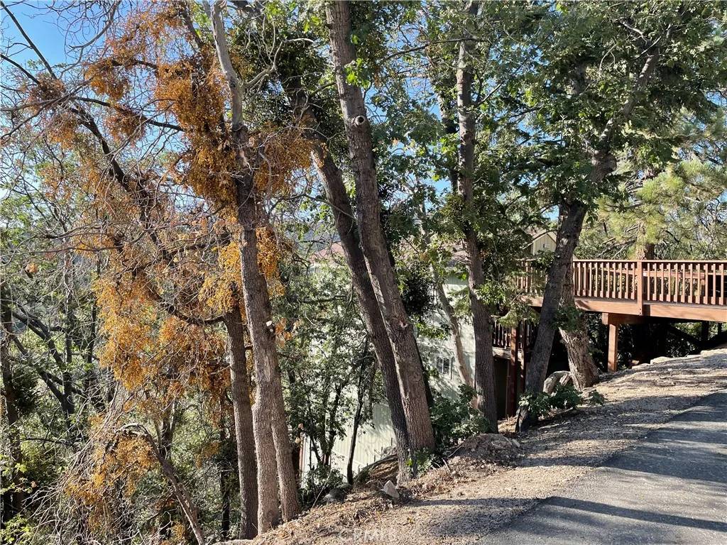 Arrowbear, CA 92382,23 Lot 23 Music Camp