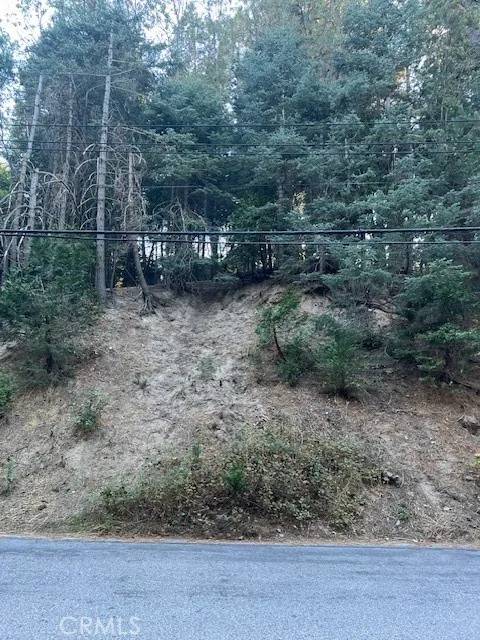 Twin Peaks, CA 92391,0 Lake Forest