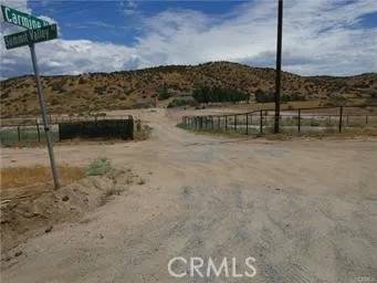 Hesperia, CA 92345,0 Carmine