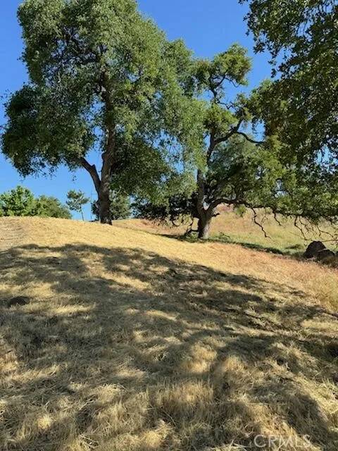Tehachapi, CA 93561,0 Peregrine