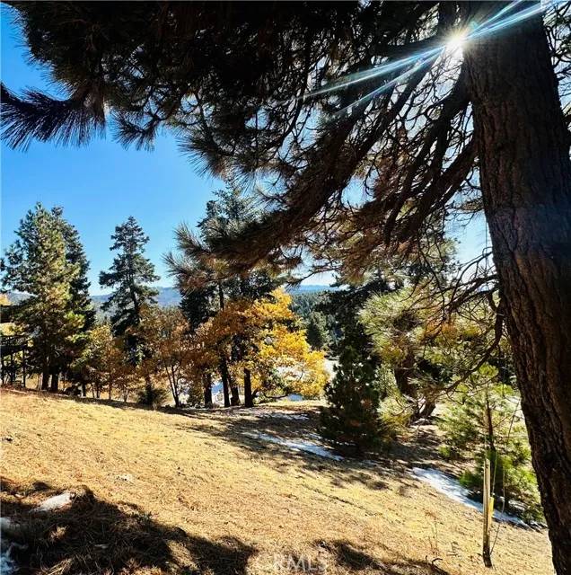 Running Springs, CA 92382,77 Nob Hill Circle