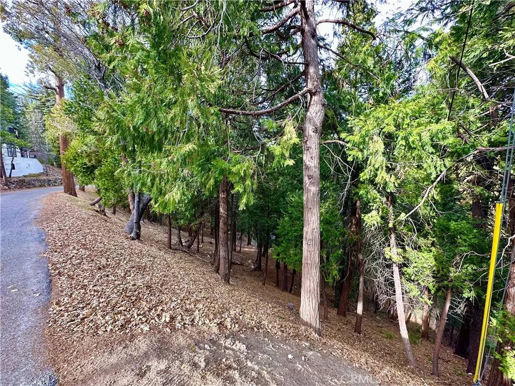 Lake Arrowhead, CA 92352,291 Hillside