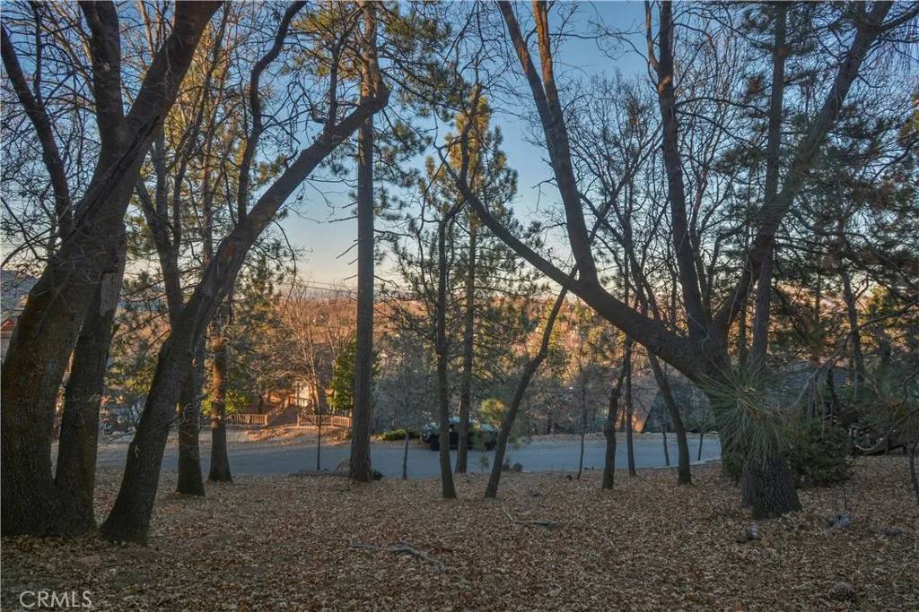 Lake Arrowhead, CA 92352,1411 Yosemite