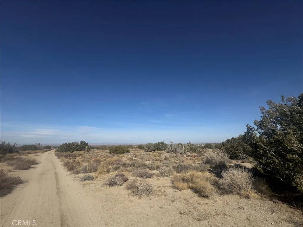 Llano, CA 93544,0 Avenue Y