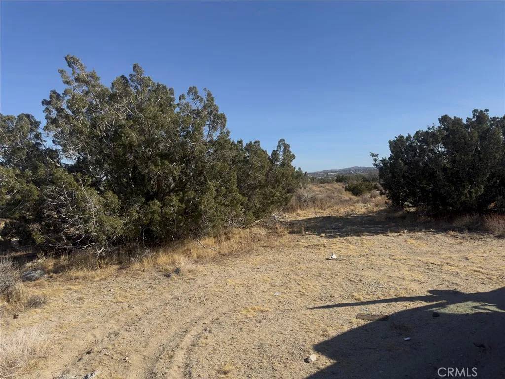 Llano, CA 93544,0 Avenue Y