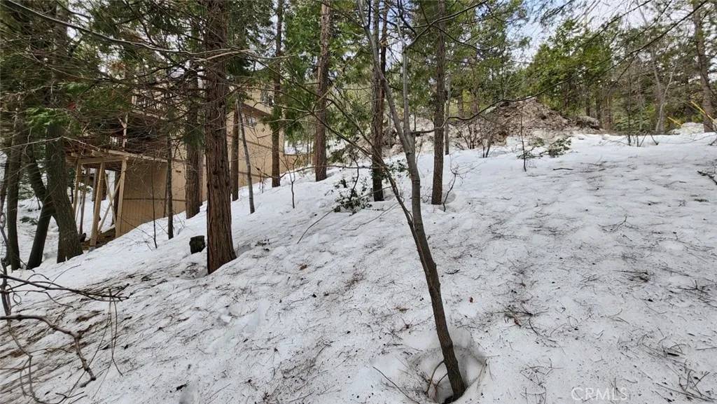 Lake Arrowhead, CA 92352,0 Brentwood
