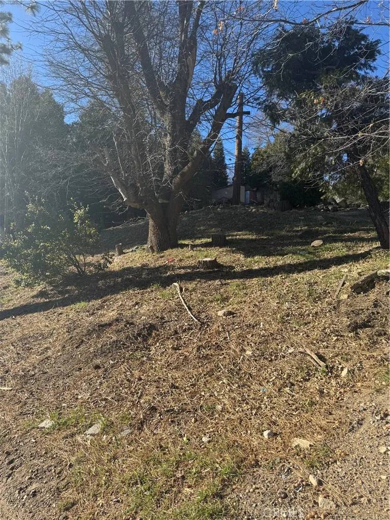 Rimforest, CA 92378,26600 Highway 18