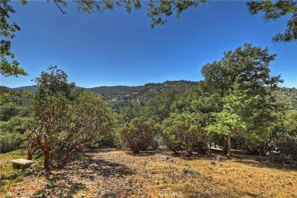 Lake Arrowhead, CA 92352,0 Grass Valley