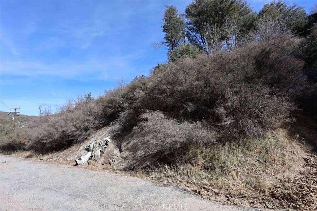 Cedar Glen, CA 92321,0 Acacia